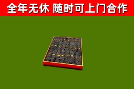稻城县回收海参